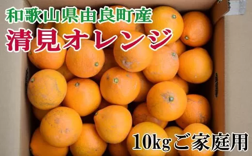 【訳あり・ご家庭用】和歌山由良町産の濃厚清見オレンジ約10kg　※2025年2月中旬～2025年2月下旬頃に発送予定（お届け日指定不可）