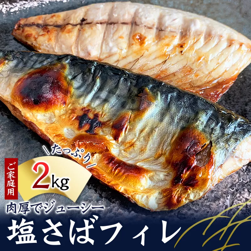 【全3回】大容量！ ご家庭用 塩さばフィレの定期便 / さば サバ 鯖 フィレ 切り身 切身 魚 海鮮 焼き魚 おかず 定期便【tkb353】