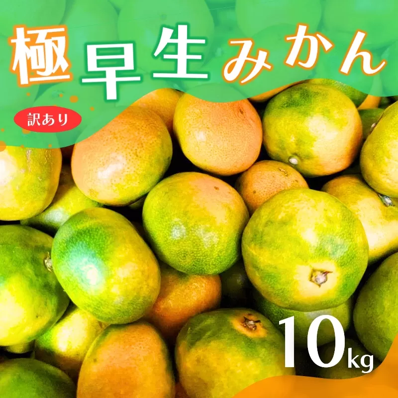 【2024年秋頃発送予約分】【訳あり】こだわりの極早生みかん 約10kg ※2024年10月上旬より順次発送予定（お届け日指定不可） 有機質肥料100% サイズ混合  有田産【nuk167】