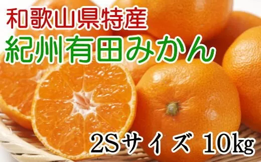 [秀品]和歌山有田みかん　約10kg(2Sサイズ)※2023年11月～2024年1月下旬順次発送