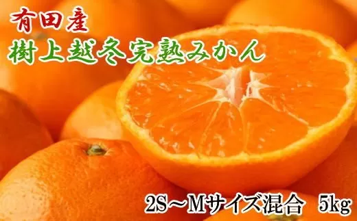 【濃厚・まろやか】有田産樹上越冬完熟みかん5kg（2S〜Mサイズ混合・赤秀） 