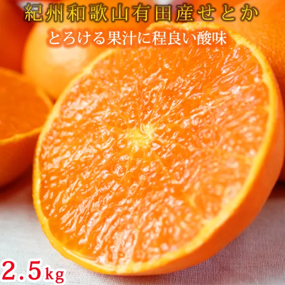 とろける食感 ジューシー柑橘 せとか 約2.5kg みかん 蜜柑 柑橘 オレンジ 果物 フルーツ 国産 和歌山県広川町 ※2025年2月上旬頃〜2月下旬頃に順次発送予定