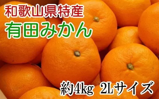 [秀品]和歌山有田みかん約4kg(2Lサイズ) ※2023年11月～2024年1月下旬頃に順次発送予定（お届け日指定不可） 