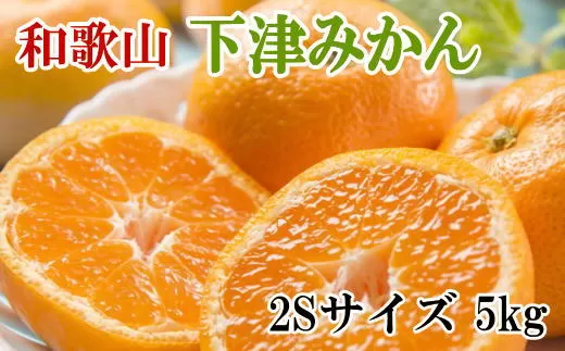 【産直・秀品】和歌山下津みかん　5kg(2Sサイズ) ※2023年11月中旬～2024年1月下旬頃順次発送