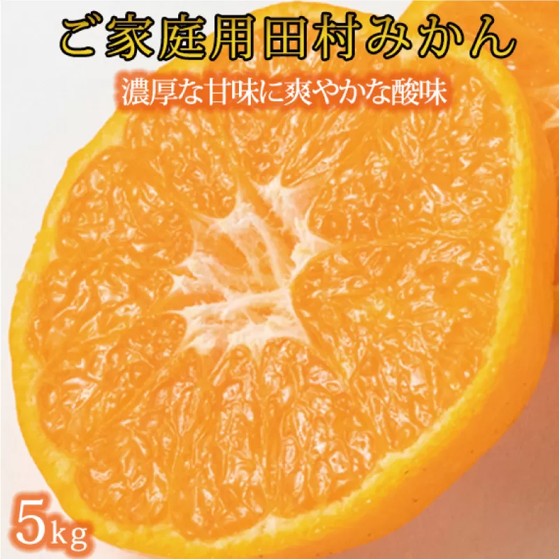 【ご家庭用訳あり】田村みかん　5kg　※2024年11月下旬頃〜2025年1月下旬頃に順次発送予定(お届け日指定不可)