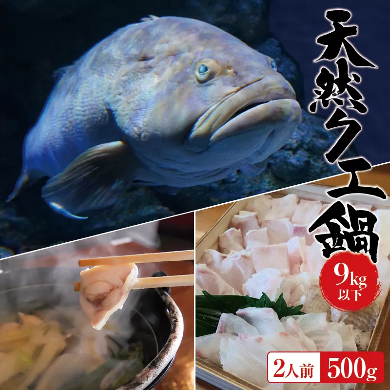 【冷蔵】天然 クエ 9kg 以下 クエ鍋セット 2人前(250g×2) 【2023年11月下旬から2024年2月下旬までに順次発送致します。】 / 高級 海鮮 お魚 魚  くえ鍋 クエ鍋 くえ くえ天然 冷蔵 海産物