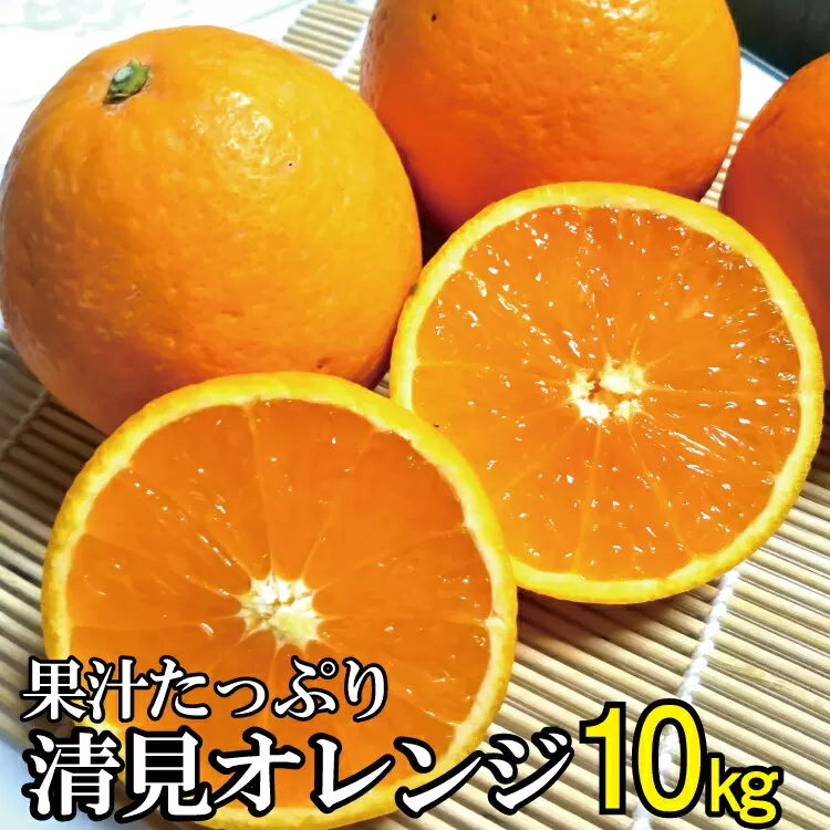 【農家直送】果汁たっぷり！清見オレンジ 約10kg  有機質肥料100%　 サイズ混合　※2024年3月上旬より順次発送予定（お届け日指定不可）