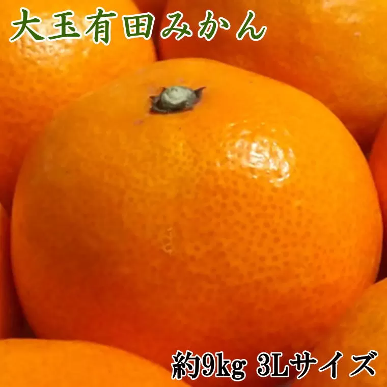 【食べごたえ十分】有田みかん大玉約9kg（3Lサイズ・秀品）　※2023年11月〜2024年1月下旬発送予定（お届け日指定不可）