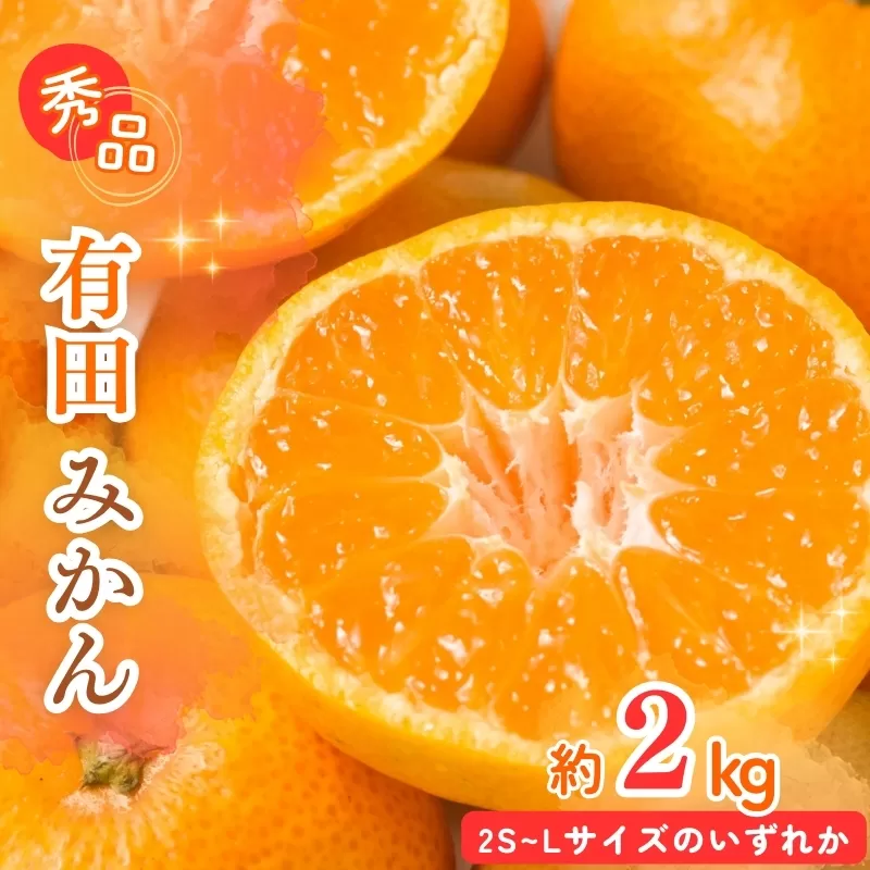 【先行予約】秀品 有田みかん 2kg 2S〜Lサイズのいずれか ※2024年11月下旬頃〜2025年1月下旬頃に順次発送予定 / みかん ミカン 蜜柑 温州みかん 柑橘 フルーツ 果物 くだもの 和歌山【uot835】