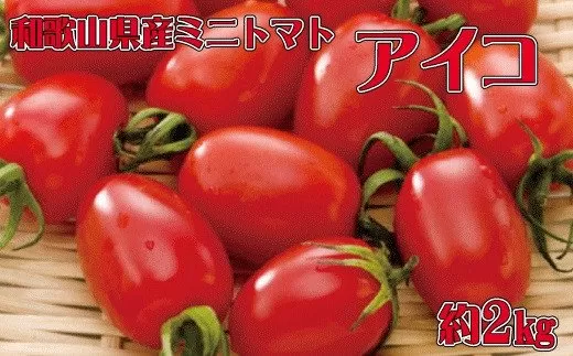 【12月出荷分】和歌山産ミニトマト「アイコトマト」約2kg（S・Mサイズおまかせ）