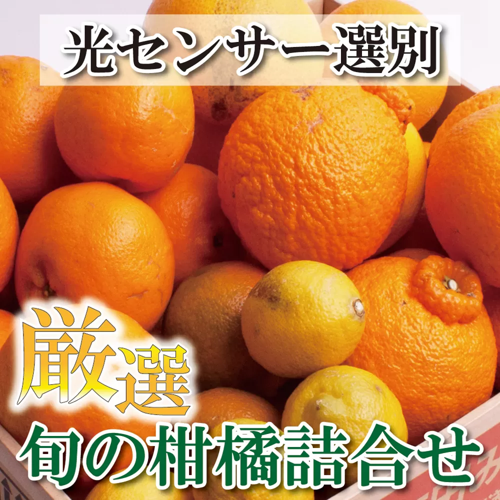 家庭用 柑橘詰合せ2kg+60g(傷み補償分)[訳あり・わけあり][有田の春みかん詰め合わせ・フルーツ詰め合せ・オレンジつめあわせ][光センサー選別][ikd184]