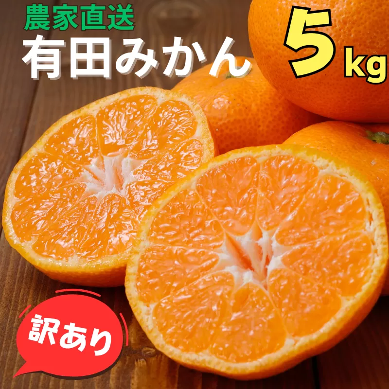 【訳あり】農家直送 有田みかん 約5kg ご家庭用 サイズ混合 ※2024年11月中旬から2025年1月中旬までに順次発送予定（お届け日指定不可）※北海道・沖縄・離島への配送不可 訳ありみかん みかん ミカン 蜜柑 柑橘 フルーツ 果物 くだもの 温州みかんサイズ混合 訳ありみかん 温州みかん 有機質肥料100% ふるさと納税 柑橘 有田 産地直送【nuk161】