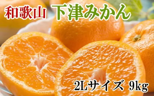 【産直・秀品】和歌山下津みかん　9kg(2Lサイズ) ※2023年11月中旬～2024年1月下旬頃順次発送