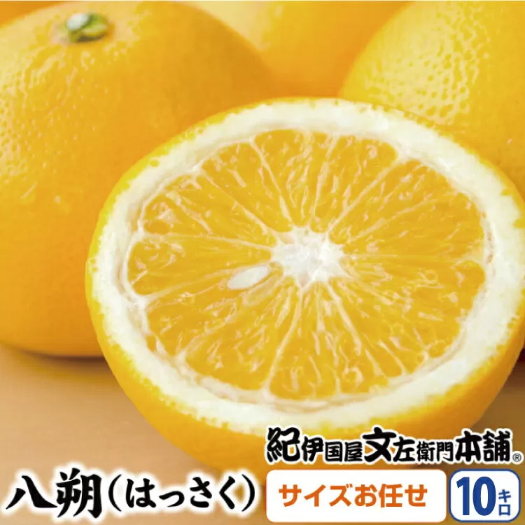 八朔(はっさく)約10kg サイズおまかせ　紀伊国屋文左衛門本舗※2023年1月下旬〜4月上旬頃発送予定