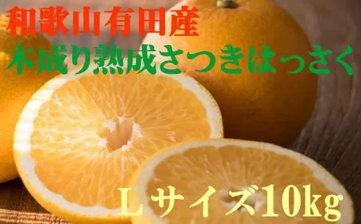 こだわりの和歌山有田産木成り熟成さつき八朔 10kg(Lサイズ) ※2024年4月上旬～下旬頃に発送予定（お届け日指定不可）