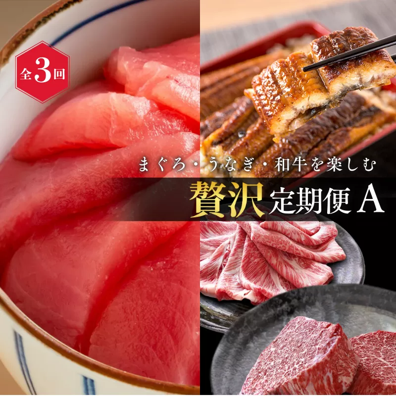 【全3回】まぐろ・うなぎ・和牛を楽しむ贅沢定期便A / 鮪 マグロ 刺身 鰻 ウナギ 蒲焼 熊野牛 肉 牛肉 和牛 黒毛和牛 ヒレ ロース シャトーブリアン ステーキ スライス【tkb386】