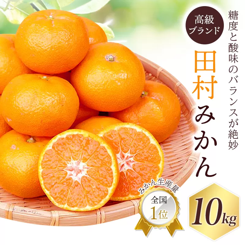 高級ブランド田村みかん 10kg【予約】 ※2024年11月下旬頃〜2025年1月下旬頃に順次発送予定(お届け日指定不可)