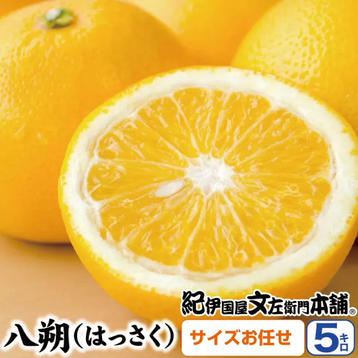 八朔(はっさく)約5kg サイズおまかせ　紀伊国屋文左衛門本舗※2023年1月下旬〜4月上旬頃発送予定