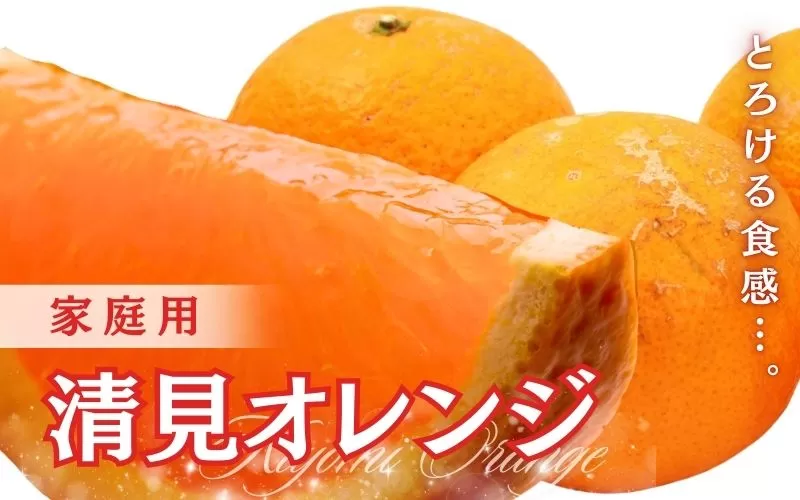 ＜2月より発送＞家庭用 清見オレンジ3.5kg+105g（傷み保証分）【光センサー食頃出荷】【樹上完熟きよみオレンジ・清見タンゴール・清美】【わけあり・訳あり】※北海道・沖縄・離島への配送不可【ikd199】