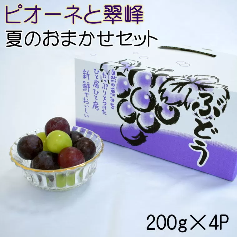 【数量限定】ピオーネと翠峰の夏のおまかせセット約200g×4パック※2023年8月下旬～9月下旬頃順次発送