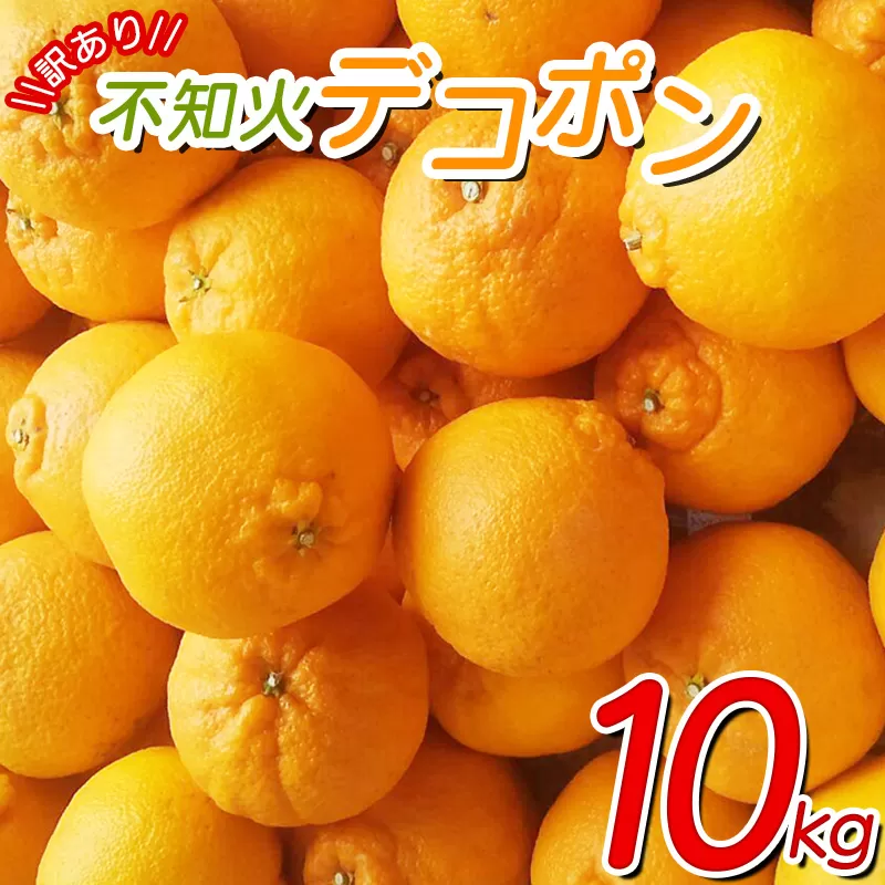 ＼光センサー選別／ 【訳あり】ちょこっと訳あり不知火デコポン 約10kg【ご家庭用】 ※2025年2月中旬より順次発送予定（お届け日指定不可）【nuk121B】