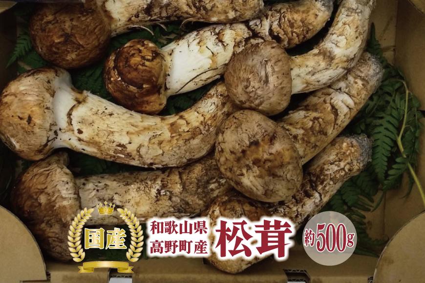 先行予約 国産松茸 約500g 数量限定 香り高く希少【和歌山県高野町産】【2024年9月下旬～11月上旬発送】｜高野町｜和歌山県｜返礼品をさがす｜まいふる  by AEON CARD