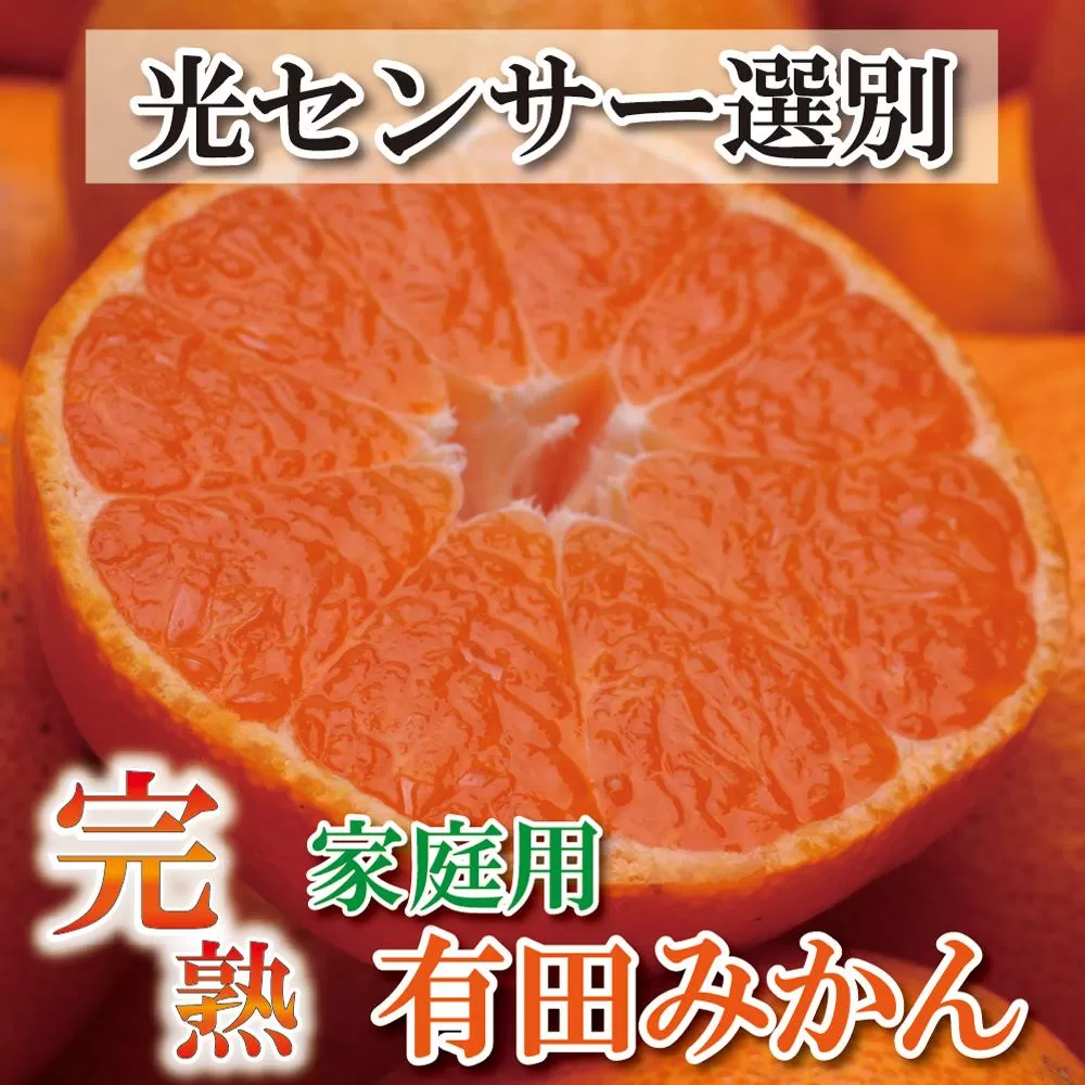 家庭用 完熟有田みかん 5kg+150g(傷み補償分)訳あり[2024年11月より発送]