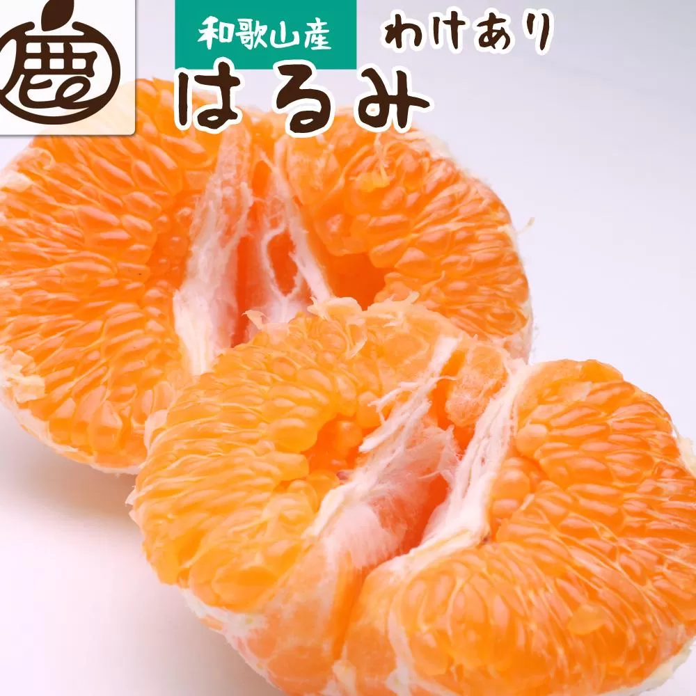 ＜2月より発送＞家庭用 はるみ5kg+150g（傷み補償分）【デコポンの姉妹品種・新食感春みかん】【わけあり・訳あり】【IKE47】