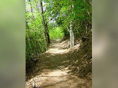 世界遺産「紀伊山地の霊場と参詣道」高野山町石道　