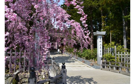 (4)歴史・文化を継承し、自然・環境を保全する事業