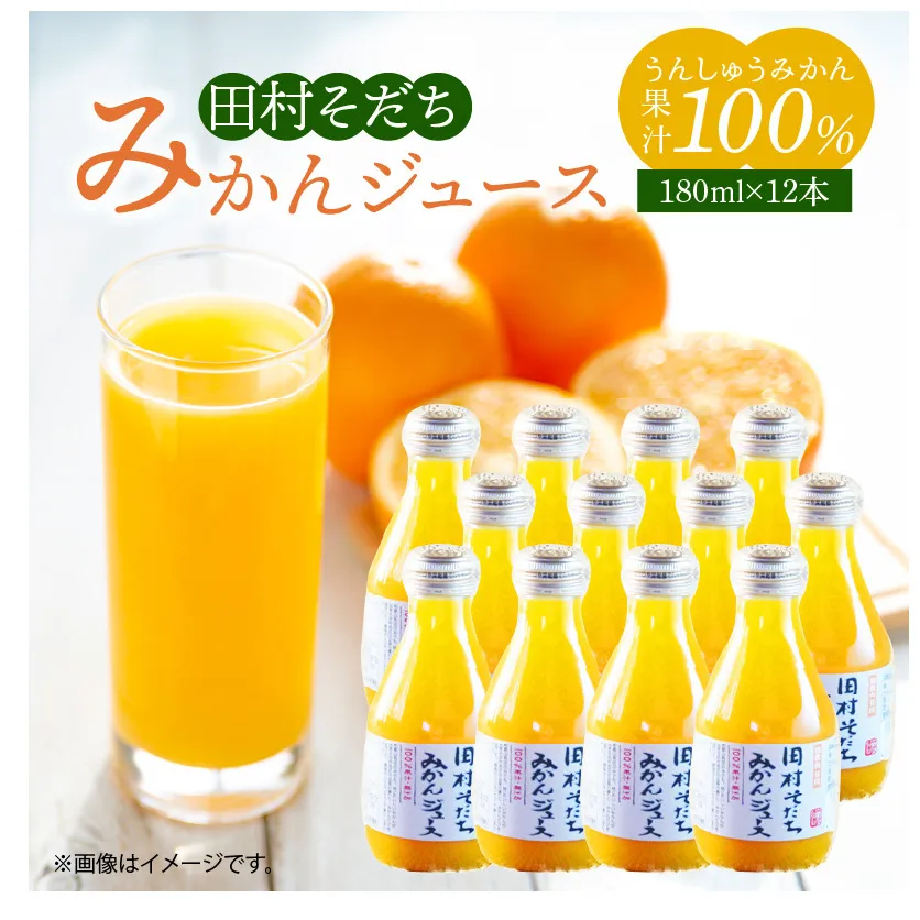 G7028_果汁100％田村そだちみかんジュース 180ml×12本