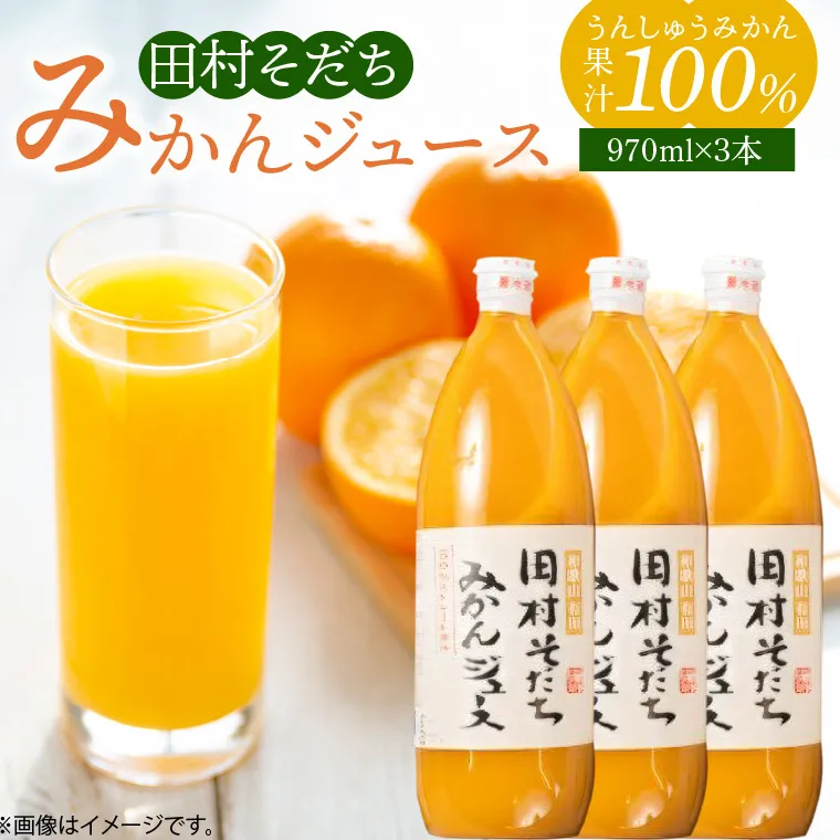 G7029_果汁100％田村そだちみかんジュース 970ml×3本