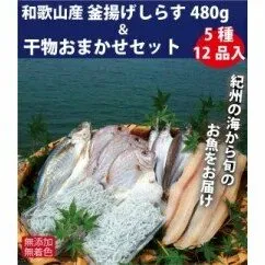 ZB6085n_和歌山産 釜揚げしらす 480g＆干物詰め合わせセット 5種12品入り【無添加・無着色】