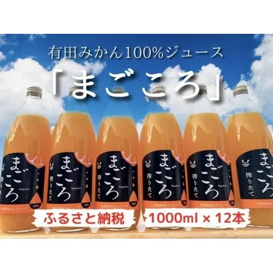 ZE6184_【まごころ】有田みかんジュース100％ 1000ml×12本