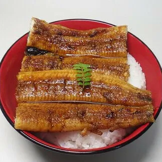 V6206_炭焼きうなぎ蒲焼　大サイズ2尾セット（約150～199g×2尾）