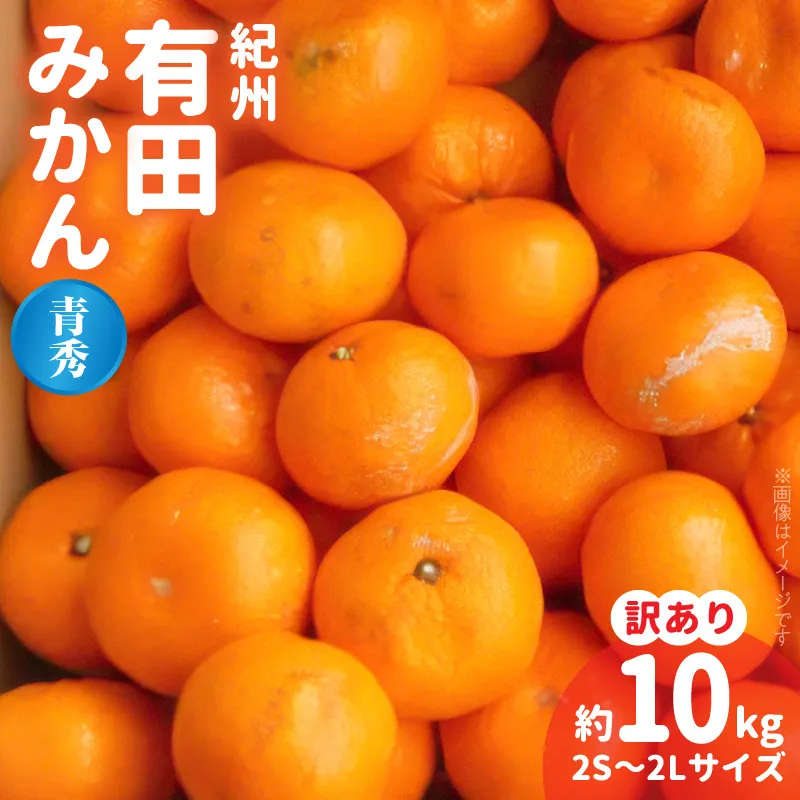 BB6210_紀州 有田みかん 約10kg 2S～2Lサイズいずれか【訳あり 家庭用】【青秀・良】