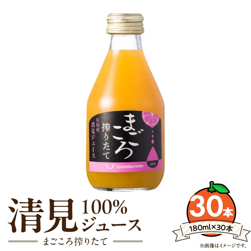 ZE6432_【まごころ搾りたて】清見 100%ジュース 180ml × 30本 