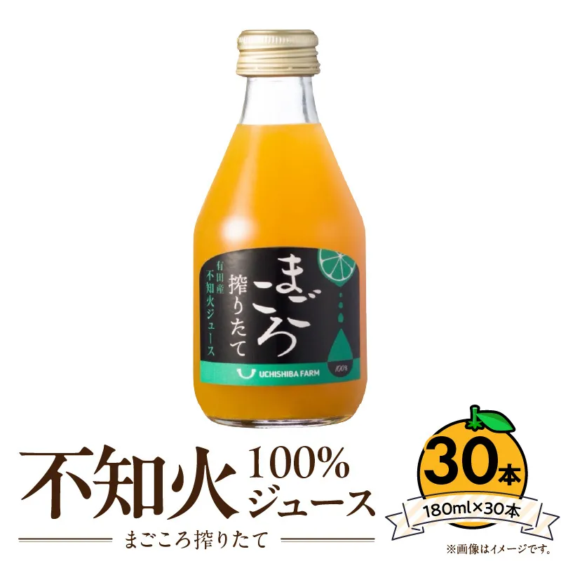 ZE6437_【まごころ搾りたて】不知火 100%ジュース 180ml × 30本