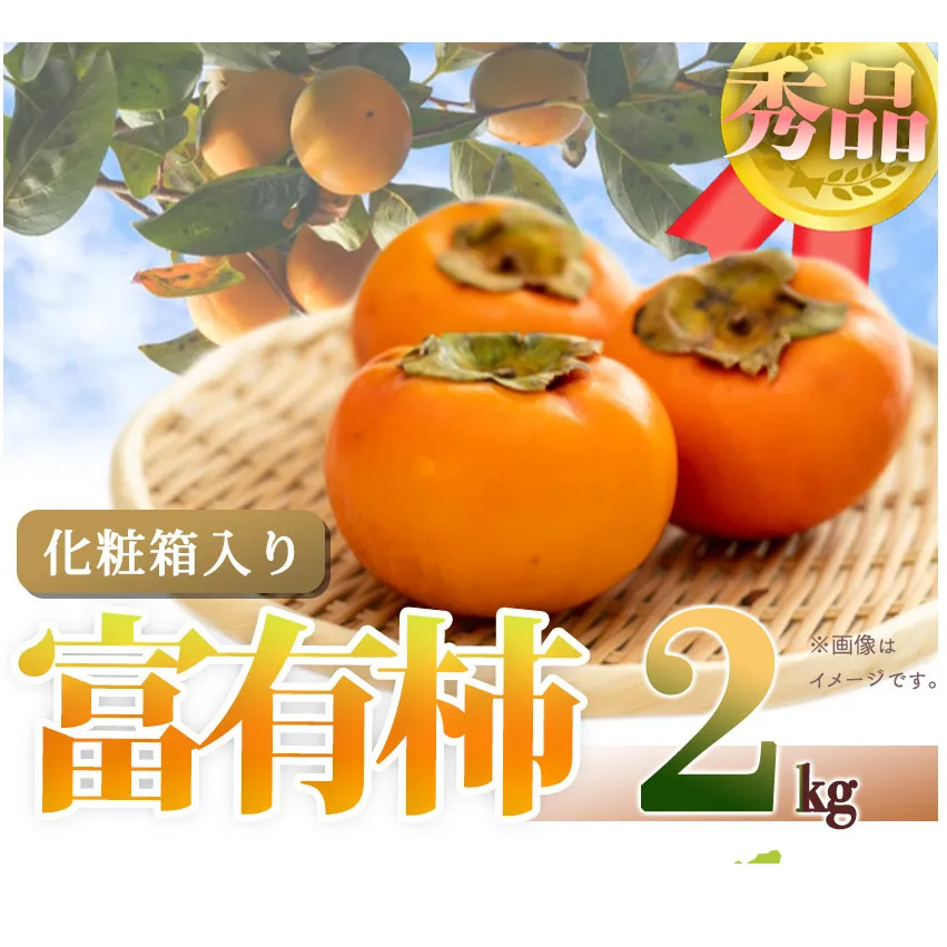 G7114_【2024年 先行予約】和歌山秋の味覚 富有柿 秀品 約2kg 化粧箱入