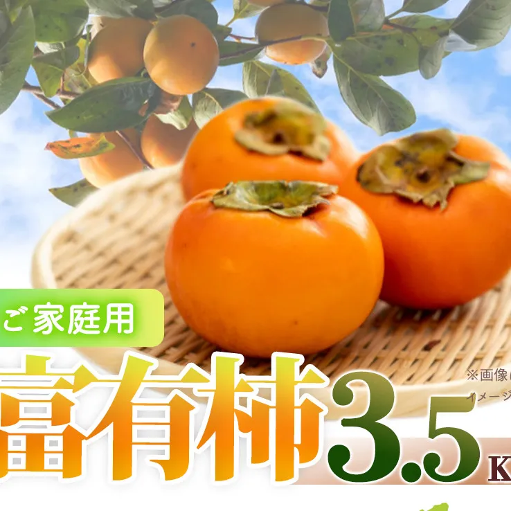 G7112_【2024年 先行予約】和歌山秋の味覚 富有柿 3.5kg【家庭用 訳あり】