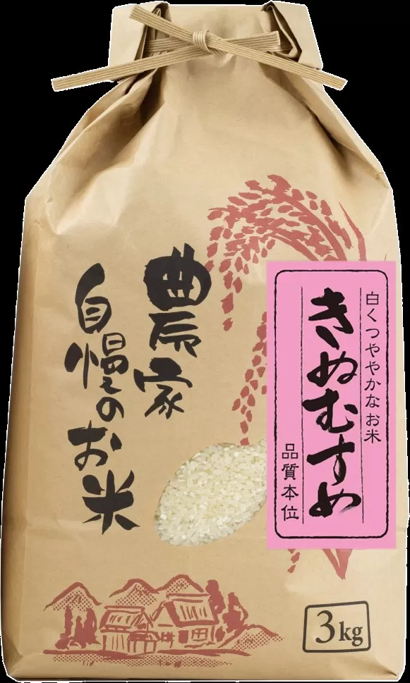 ふるさと納税 広川町 「発送日前日精米」きぬむすめ(精米5kg)きぬ