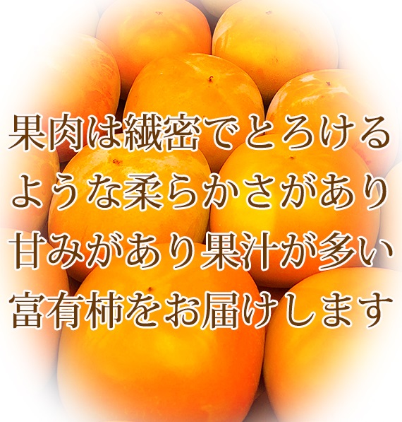 和歌山秋の味覚 富有柿 約7.5kg ※2024年11月上旬頃〜11月下旬頃に順次