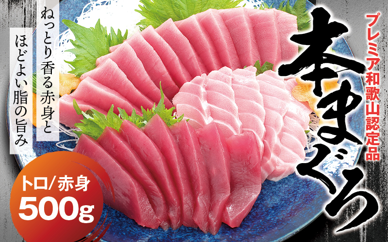 本マグロ（養殖）トロ＆赤身セット 500g 【12月発送】 高級 クロマグロ