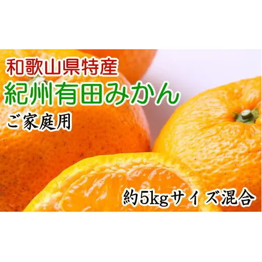 [ご家庭用]和歌山有田みかん約5kg(サイズ混合) ふるさと納税 ミカン　※2024年11月中旬～2025年1月中旬頃に順次発送予定