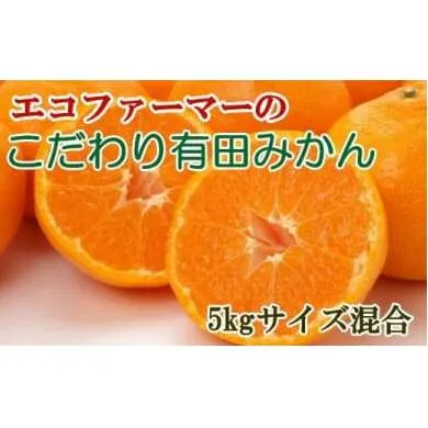 エコファーマーのこだわり有田みかん5kg(サイズ混合)※2024年11月中旬～2025年1月中旬頃に順次発送予定