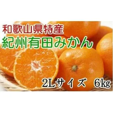 [秀品]和歌山有田みかん6kg（2Lサイズ） ※2024年11月中旬～2025年1月中旬頃に順次発送予定