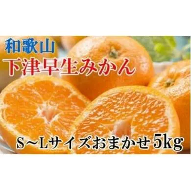 【産直・秀品】和歌山下津早生みかん 約5kg（S～Lサイズおまかせ）※2022年11月中旬～2023年1月中旬頃に順次発送予定