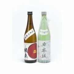 「日本城」純米大吟醸酒と純米吟醸酒「根来」720ml飲み比べセット