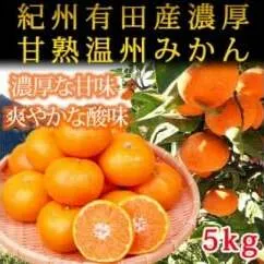 紀州有田産濃厚甘熟温州みかん5kg
※2024年11月下旬〜2025年1月下旬頃に順次発送予定