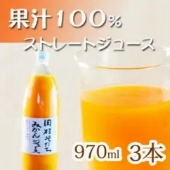 果汁１００％田村そだちみかんジュース　970ml×3本